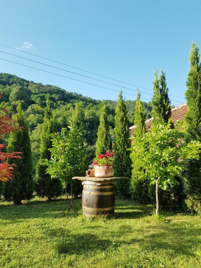 Family Hotel Chiflik Hills Zewnętrze zdjęcie